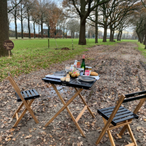 project vincent van gogh