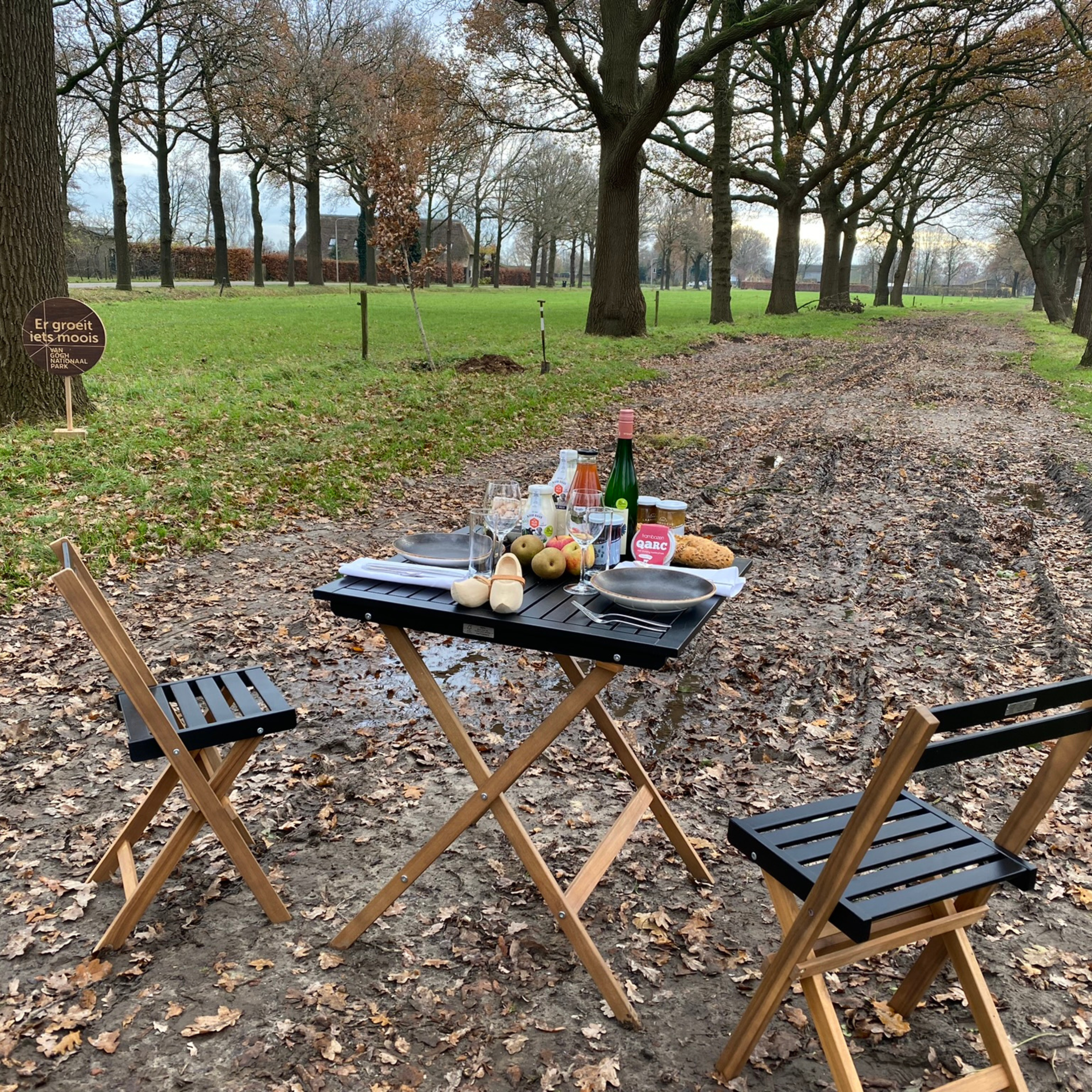 project vincent van gogh