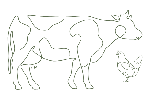 line art cow chicken