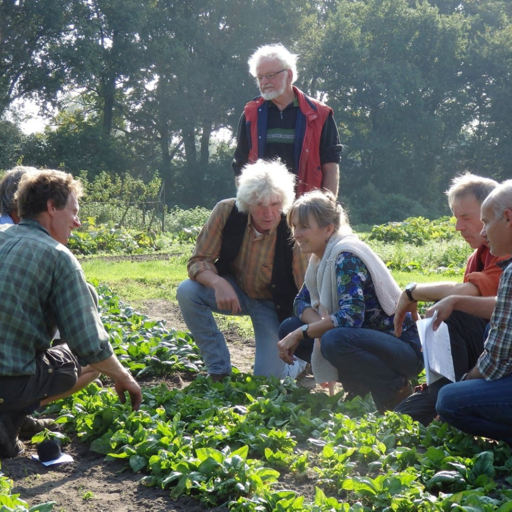 Tuin de es