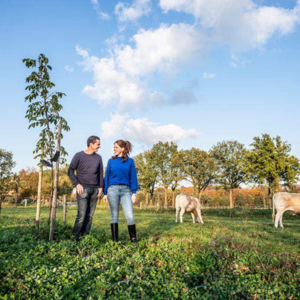 hanne hoeve