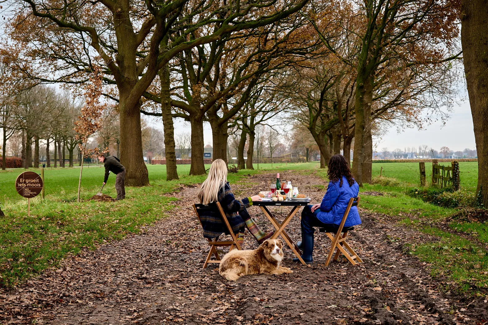 Brabants landschap in het Van Gogh Nationaal Park