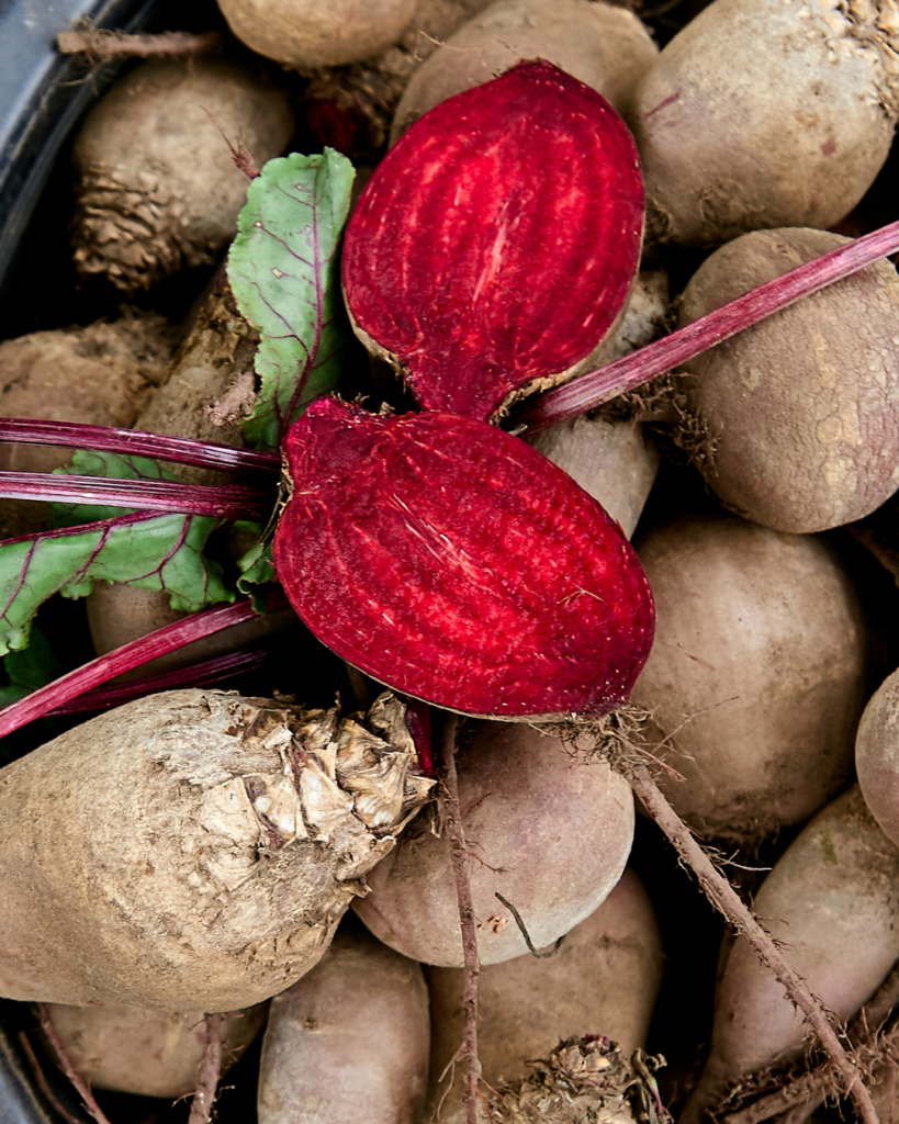 rode bieten