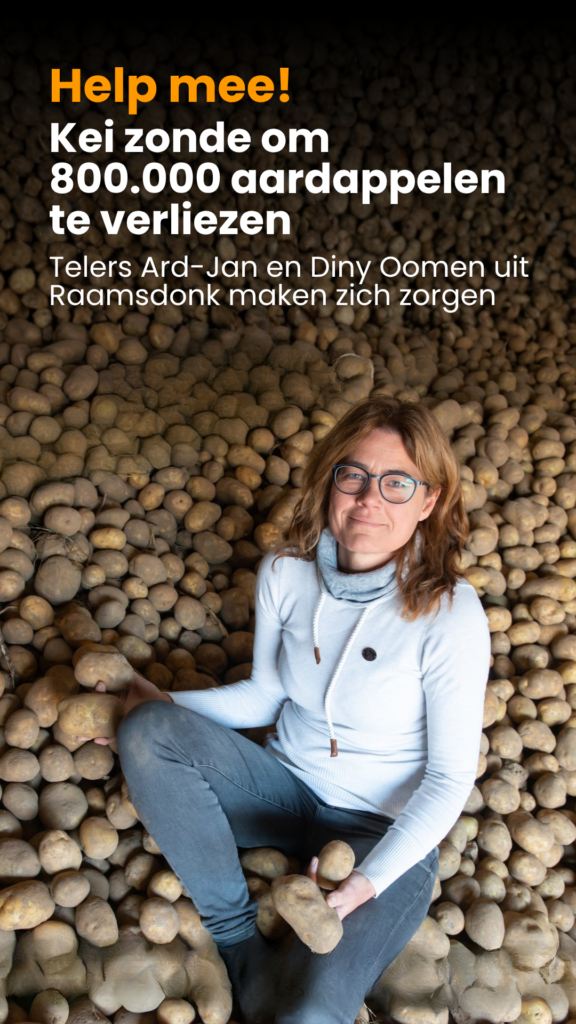 aardappelhut aardappelen